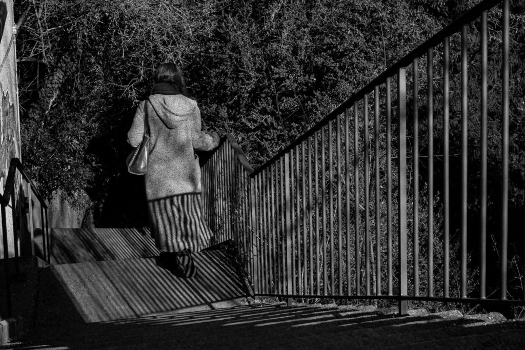 linien